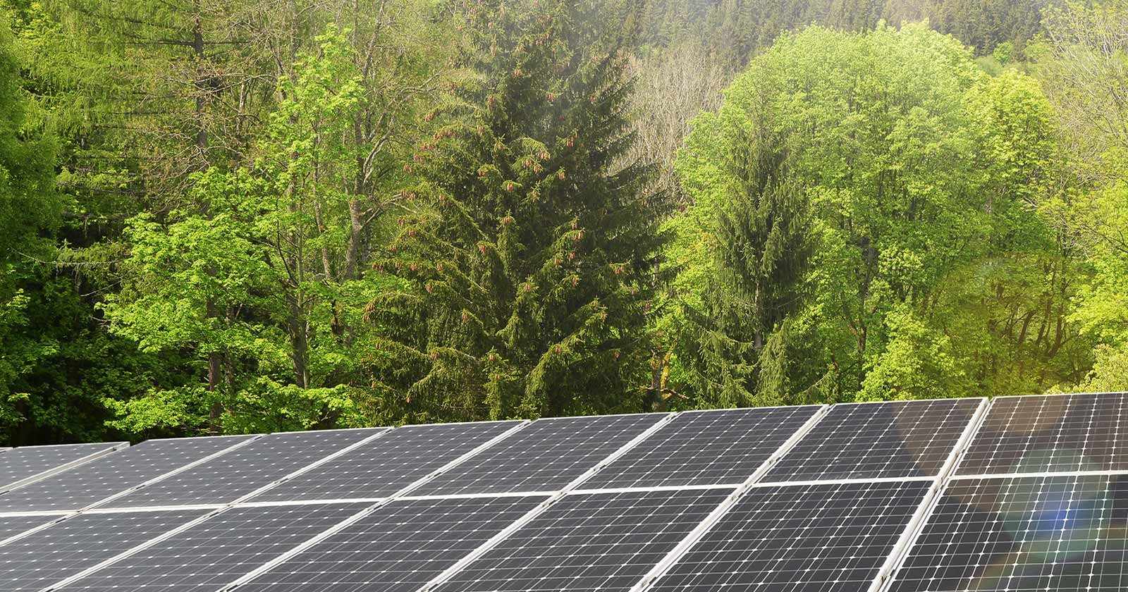 Nachhaltigkeit im Hotelbau